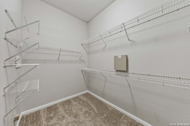 25723 Coleus, San Antonio, TX 78261