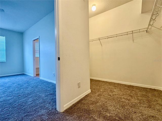 13052 TERRACE SPRINGS DRIVE, Temple Terrace, FL 33637