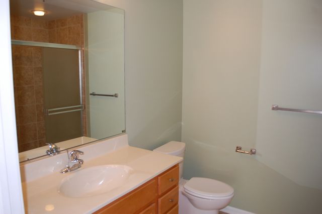 410 W Mahogany Court 503, Palatine, IL 60067