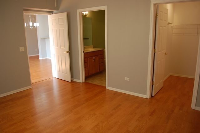 410 W Mahogany Court 503, Palatine, IL 60067