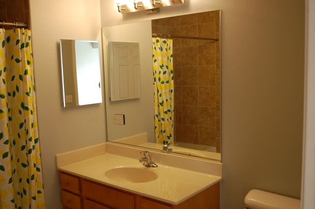 410 W Mahogany Court 503, Palatine, IL 60067