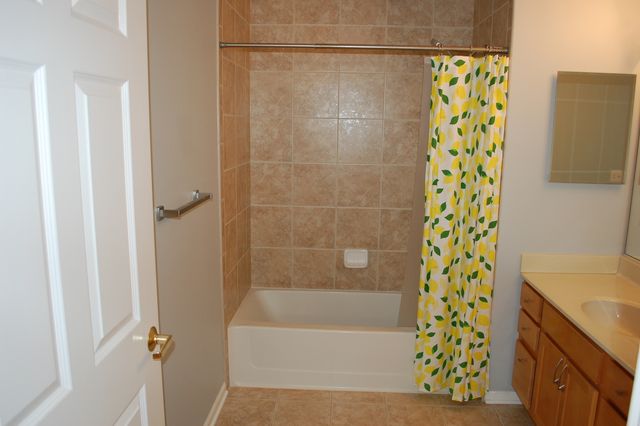 410 W Mahogany Court 503, Palatine, IL 60067