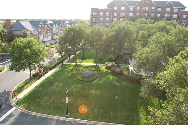 410 W Mahogany Court 503, Palatine, IL 60067
