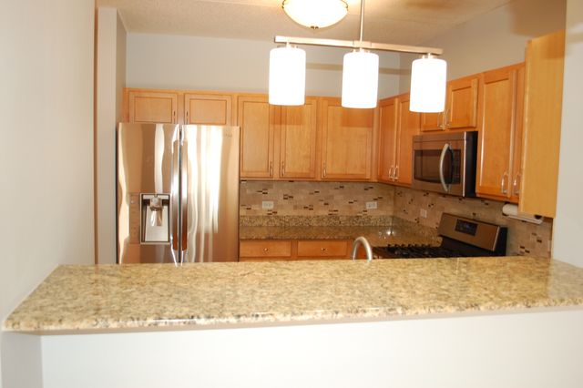 410 W Mahogany Court 503, Palatine, IL 60067