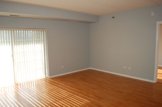 410 W Mahogany Court 503, Palatine, IL 60067