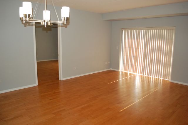 410 W Mahogany Court 503, Palatine, IL 60067