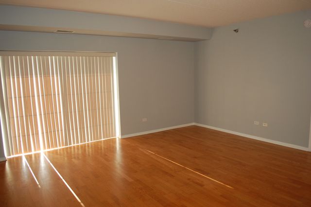 410 W Mahogany Court 503, Palatine, IL 60067