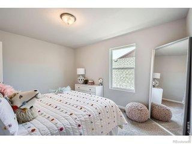 2575 Violet Cress Lane, Fort Collins, CO 80524