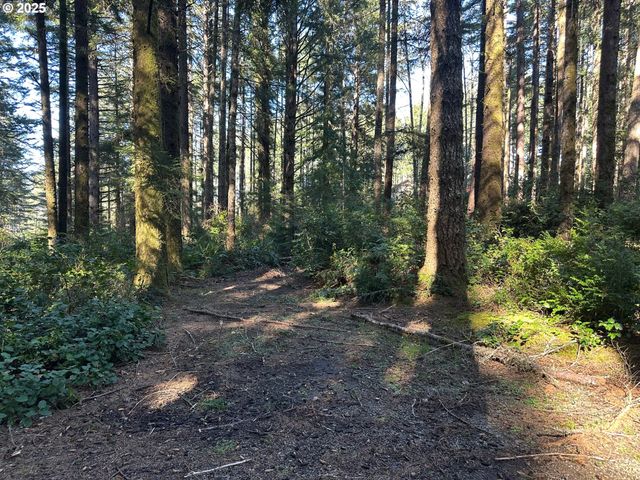 0 Cape Ferrelo Rd, Brookings, OR 97415