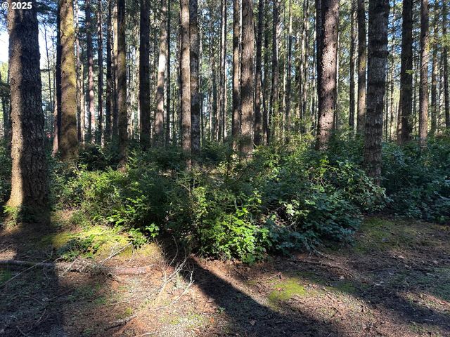 0 Cape Ferrelo Rd, Brookings, OR 97415