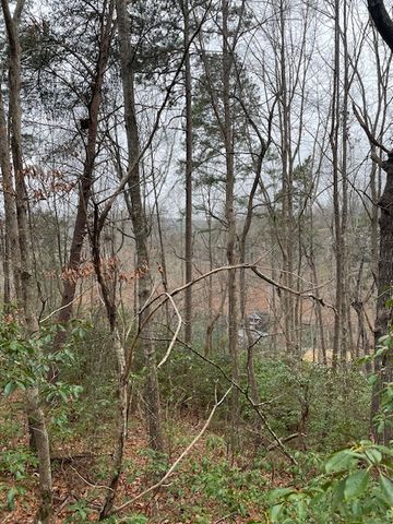 126 River Ridge Road, Sunset, SC 29685