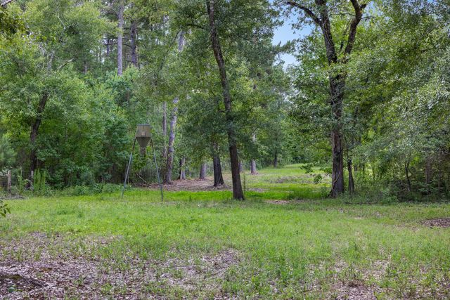 4942 Old Wagon Lane, Richards, TX 77873