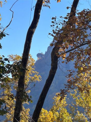 000 Cascada Vista Drive, Chimney Rock, NC 28720