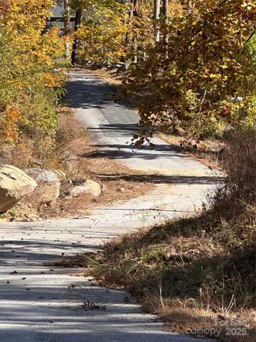 000 Cascada Vista Drive, Chimney Rock, NC 28720