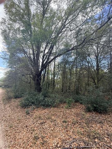 Lots 34-36 NW 52ND AVE, Ocala, FL 34482