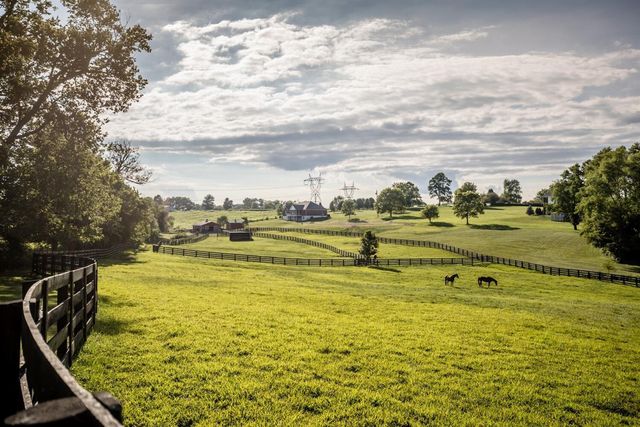 696 Pea Ridge Road, Stamping Ground, KY 40379