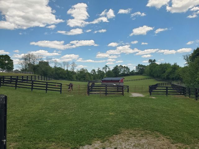 696 Pea Ridge Road, Stamping Ground, KY 40379