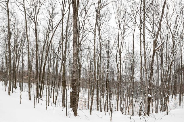 2995 S Schomberg Road, Centerville Twp, MI 49621