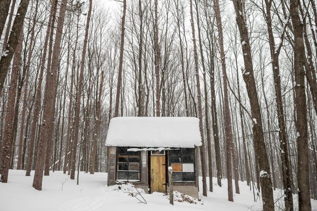 2995 S Schomberg Road, Centerville Twp, MI 49621