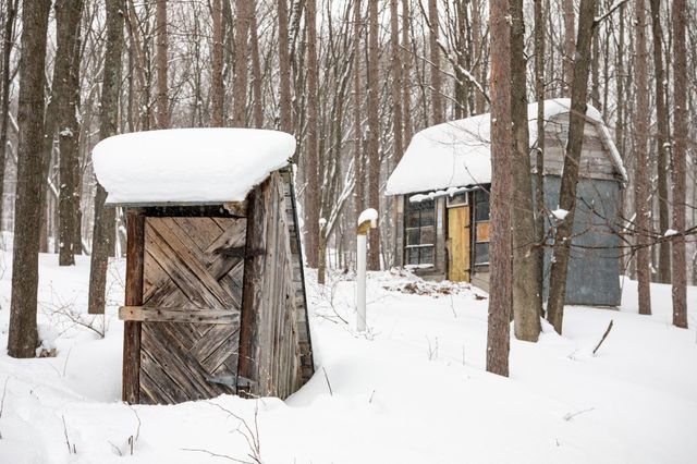 2995 S Schomberg Road, Centerville Twp, MI 49621