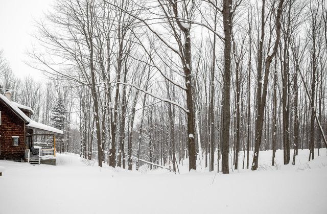 2995 S Schomberg Road, Centerville Twp, MI 49621