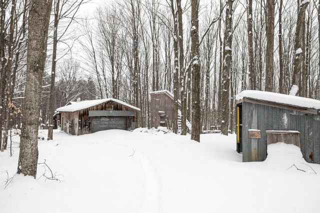 2995 S Schomberg Road, Centerville Twp, MI 49621