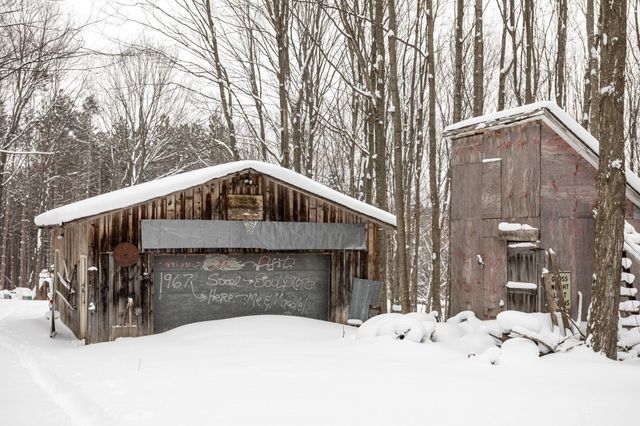 2995 S Schomberg Road, Centerville Twp, MI 49621