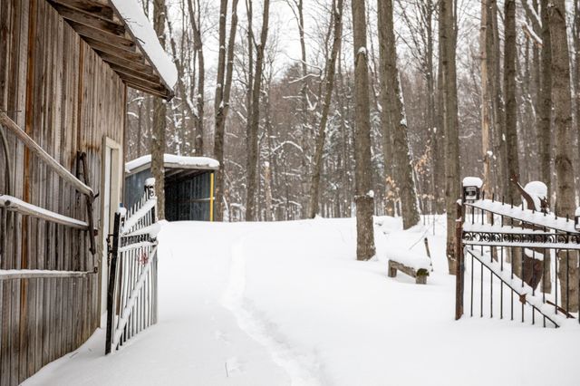 2995 S Schomberg Road, Centerville Twp, MI 49621