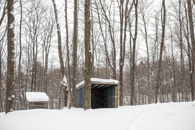 2995 S Schomberg Road, Centerville Twp, MI 49621