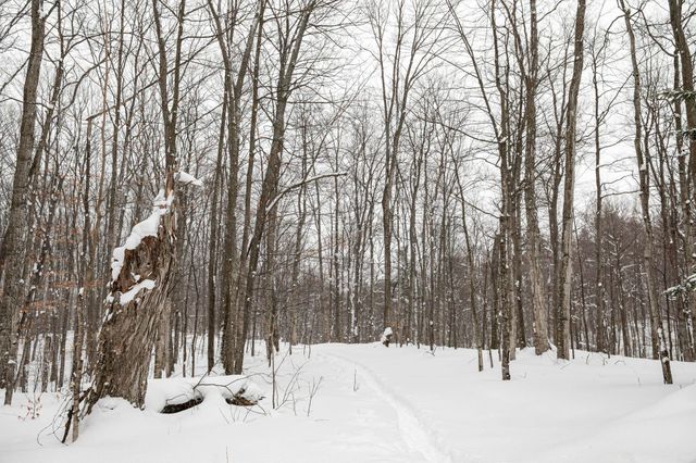 2995 S Schomberg Road, Centerville Twp, MI 49621