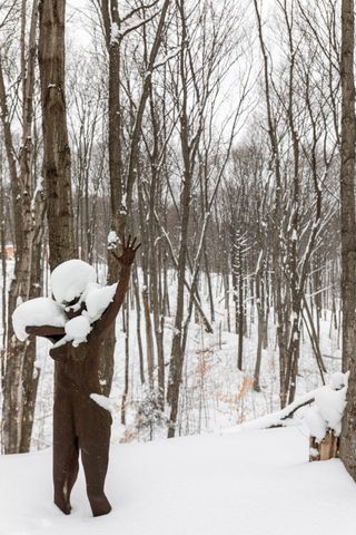 2995 S Schomberg Road, Centerville Twp, MI 49621