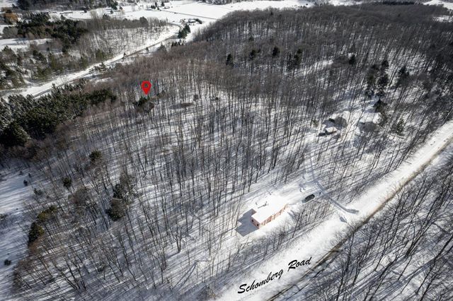 2995 S Schomberg Road, Centerville Twp, MI 49621