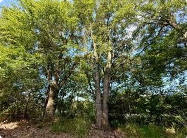 0 Serenity Gardens Road, Theodore, AL 36582