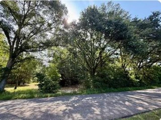 0 Serenity Gardens Road, Theodore, AL 36582