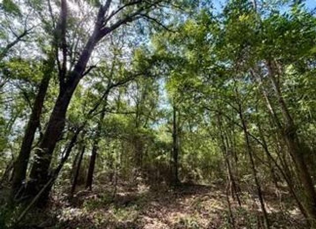 0 Serenity Gardens Road, Theodore, AL 36582