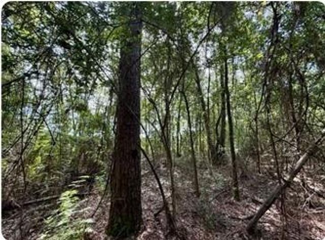 0 Serenity Gardens Road, Theodore, AL 36582