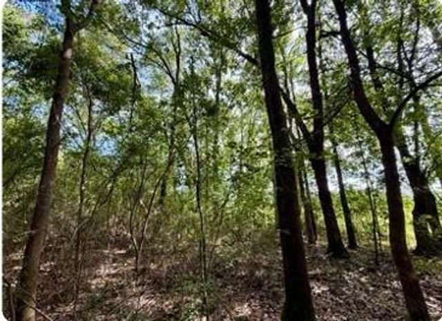 0 Serenity Gardens Road, Theodore, AL 36582