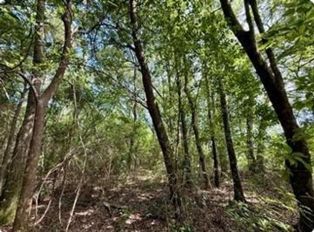 0 Serenity Gardens Road, Theodore, AL 36582