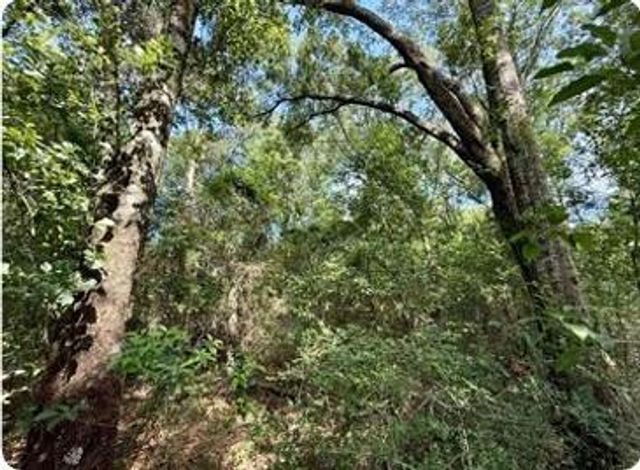 0 Serenity Gardens Road, Theodore, AL 36582