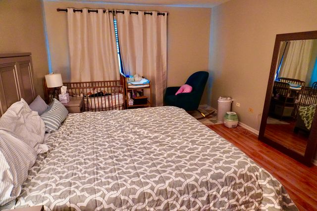 18161 Mager Drive, Tinley Park, IL 60487