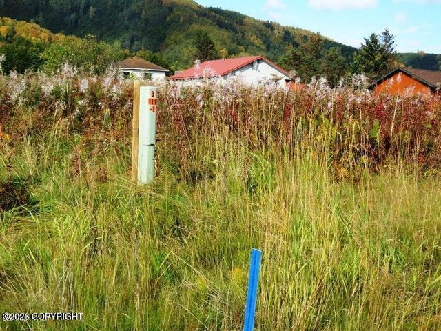 58996 E End Road, Homer, AK 99603