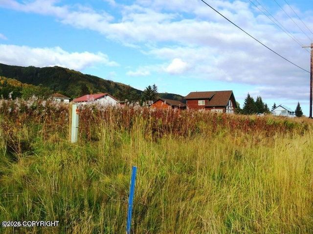58996 E End Road, Homer, AK 99603