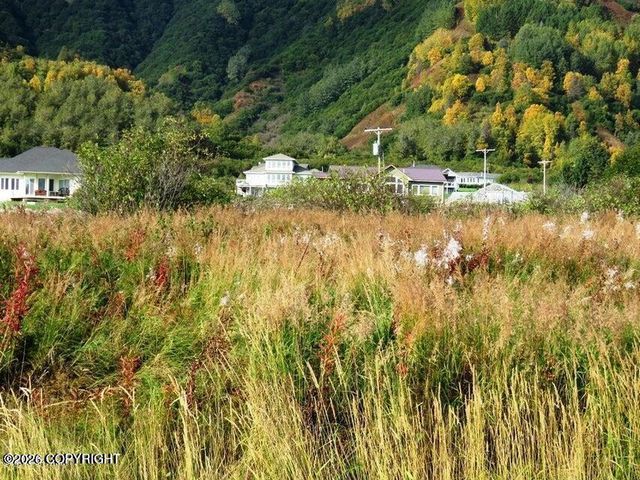 58996 E End Road, Homer, AK 99603