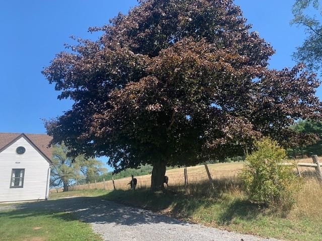 4600 MOUNTAIN TPKE, Monterey, VA 24465