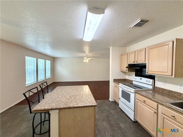 369 Copper Bluff Drive, New Braunfels, TX 78130