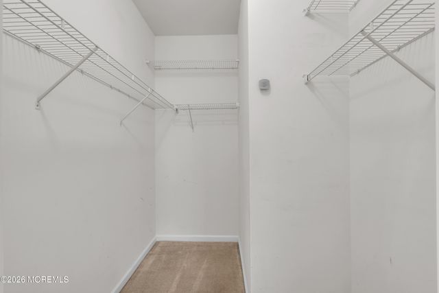 2 Daffodil Drive, Little Egg Harbor, NJ 08087