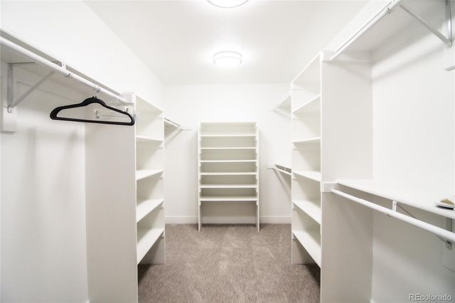 3323 S Newcombe Street, Lakewood, CO 80227