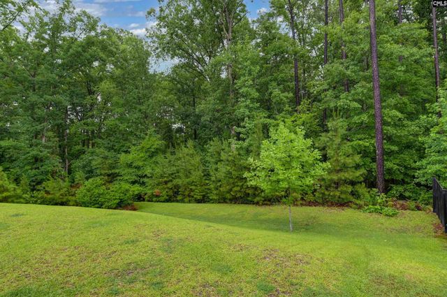 238 Wading Bird Loop, Blythewood, SC 29016