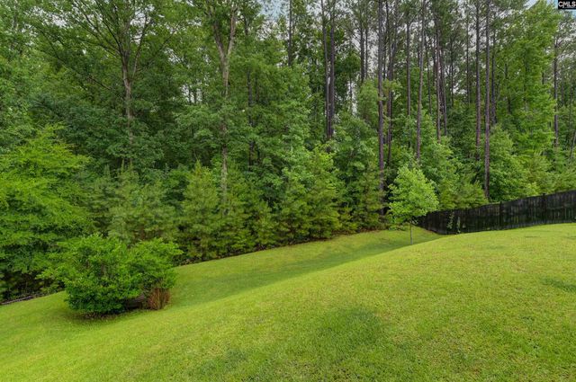 238 Wading Bird Loop, Blythewood, SC 29016