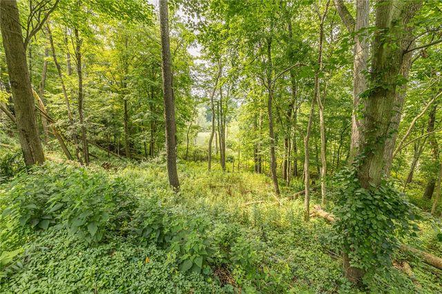 332 Thornebush Drive, Victor, NY 14564